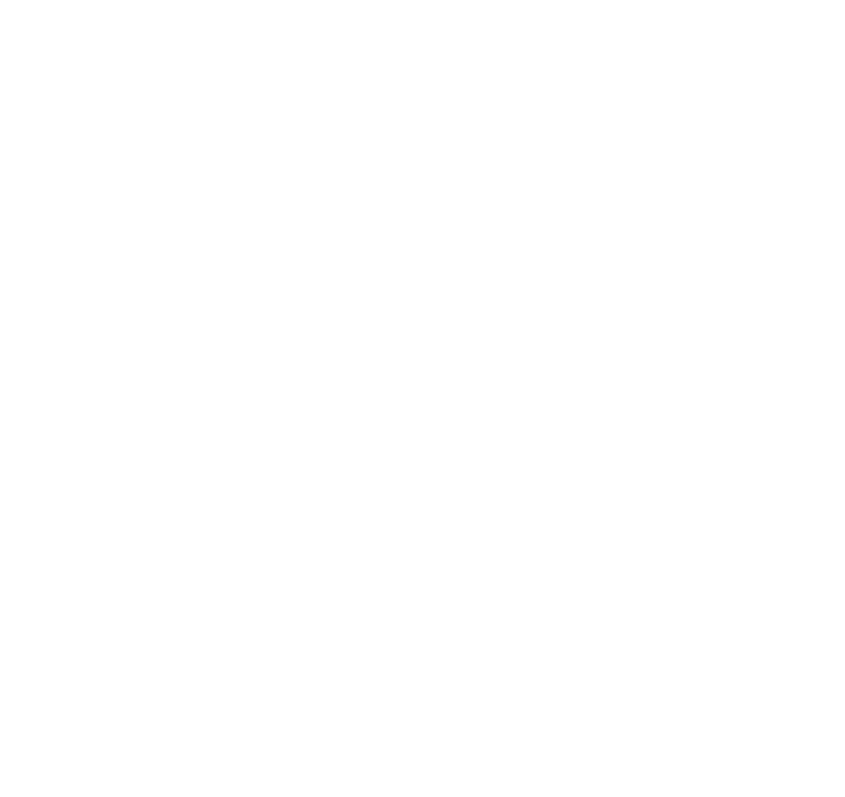 Braindiff Logo